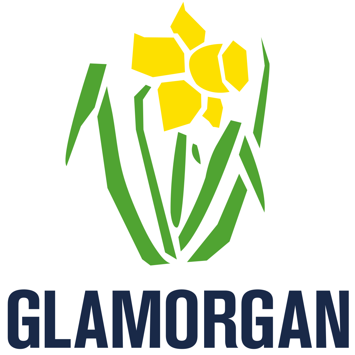 Glamorgan T20 Blast 2023 Squad
